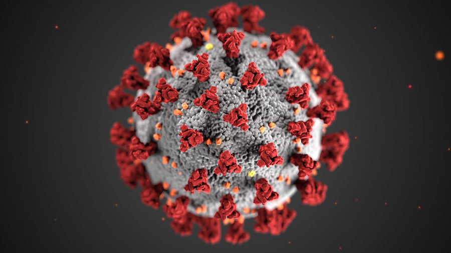 Can I Take ReJoint If I Have Been Vaccinated for COVID-19?
