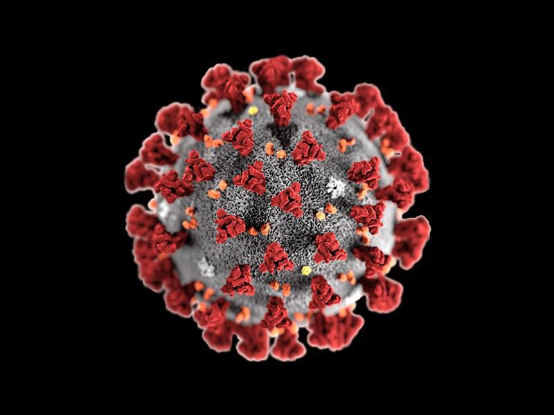 Top 5 Things to Know About the Corona virus and Joint Pain