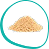 Celery