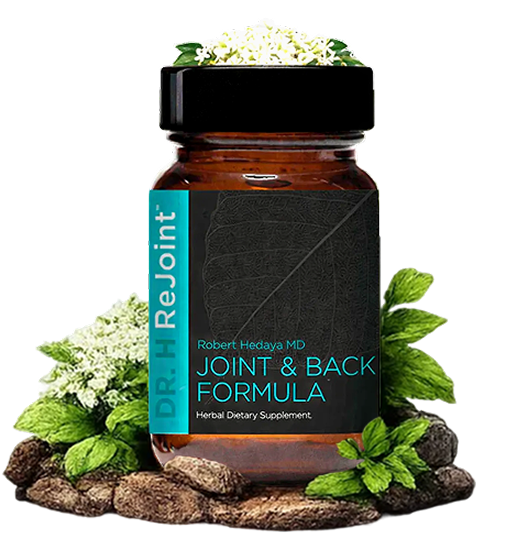 Dr. H Rejoint Supplement placed on a rock with surrounding leaves.